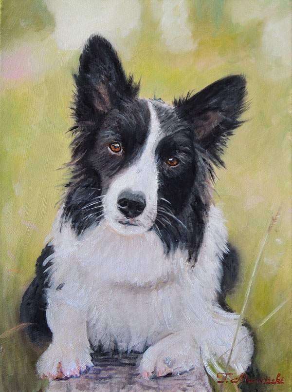 obraz olejny pies border collie